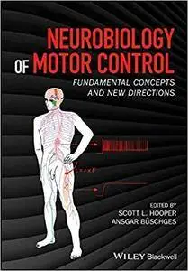 Neurobiology of Motor Control: Fundamental Concepts and New Directions