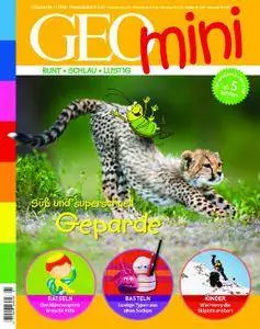 Geomini - Januar 2018