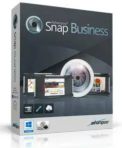 Ashampoo Snap Business 9.0.1 Multilingual Portable