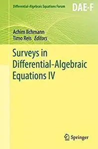 Surveys in Differential-Algebraic Equations IV (Differential-Algebraic Equations Forum) [Repost]