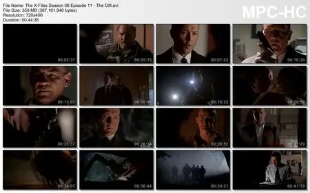 The X-Files - Complete Season 8 (2000) (repost)