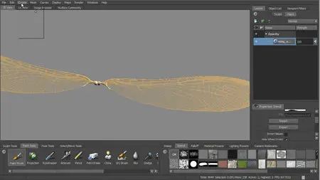 Introduction to Mudbox 2012