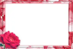 "PSD Frames_048" Template for Photoshop