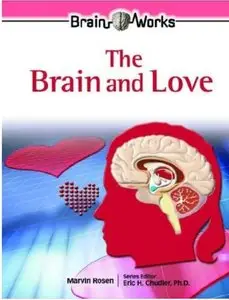 The Brain And Love