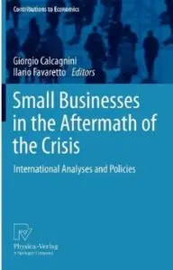 Small Businesses in the Aftermath of the Crisis: International Analyses and Policies (repost)