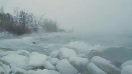 CBC - The Nature of Thing: Accidental Wilderness: The Leslie Street Spit (2020)