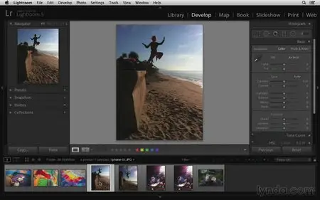 Lightroom 5 Essentials: 03 Develop Module Basics (2013) [repost]
