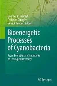 Bioenergetic Processes of Cyanobacteria: From Evolutionary Singularity to Ecological Diversity