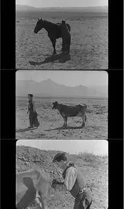 Go West (1925) + Bonus