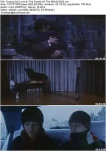 Crying Out Love, In The Center Of The World (2004)
