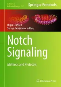 Notch Signaling: Methods and Protocols (Methods in Molecular Biology, Book 1187)