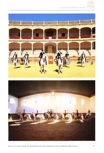 Die Stierkampfarena von Ronda