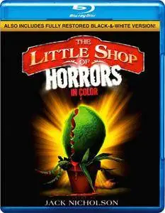 The Little Shop of Horrors (1960) [w/Commentary] [Colorized]