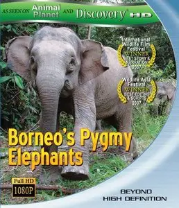 Borneo's Pygmy Elephants (2006)