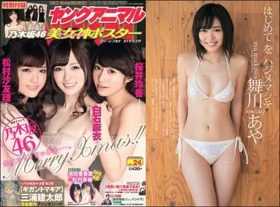 Young Animal (Yangu Animaru) - 27 December 2013 (N°24)