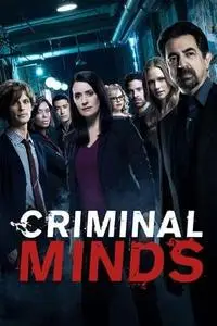 Criminal Minds S14E13