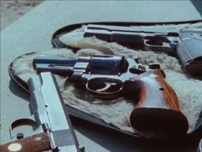 Leonard Schrader and Sheldon Renan - The Killing of America (1981)
