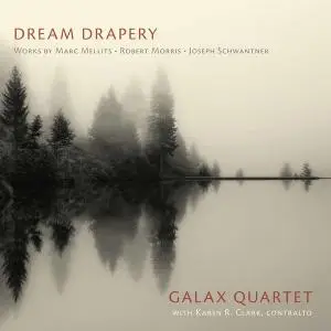 Galax Quartet, Karen R. Clark - Dream Drapery (2020) [Official Digital Download 24/96]