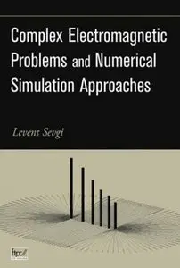 Complex Electromagnetic Problems and Numerical Simulation Approaches