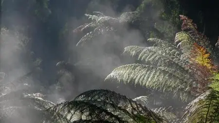 PBS - Nature: Attenborough's Wonder of Song (2023)
