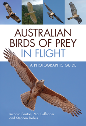 Australian Birds of Prey in Flight : A Photographic Guide / AvaxHome