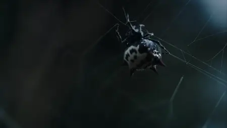 Nightmares of Nature S01E01