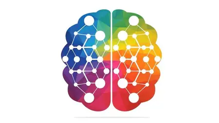 Foundations of Neurology: Understand the Nervous System