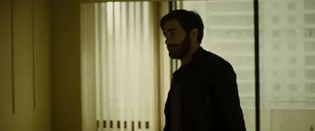 Enemy (2013)
