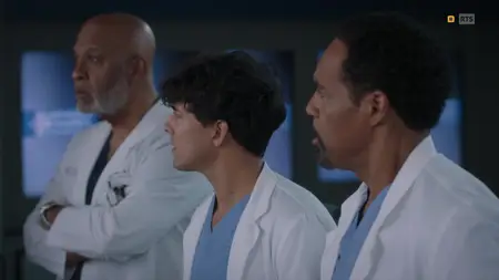 Grey's Anatomy S21E13