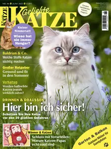 Geliebte Katze - Juni 2025