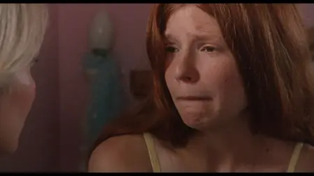 Palindromes (2004)