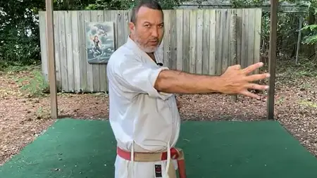 Dissect the Dissection of Isshinryu Karate: Sunsu Kata