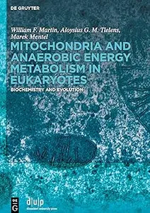 Mitochondria and Anaerobic Energy Metabolism in Eukaryotes: Biochemistry and Evolution