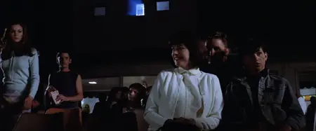 The Outsiders (1983) [MultiSubs] + Extras & Commentary