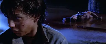The Outsiders (1983) [MultiSubs] + Extras & Commentary