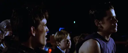 The Outsiders (1983) [MultiSubs] + Extras & Commentary