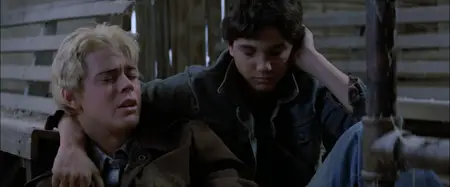 The Outsiders (1983) [MultiSubs] + Extras & Commentary