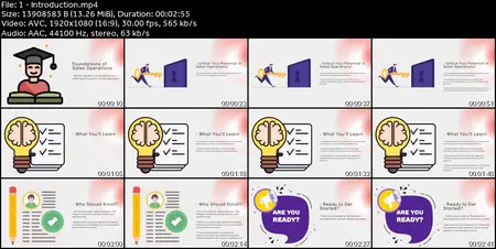 Foundations of Sales Operations
