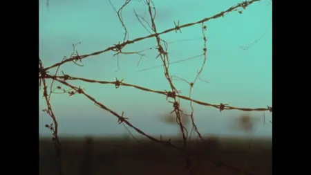 Vietnam: The War That Changed America (2025) [The Complete Season 01]