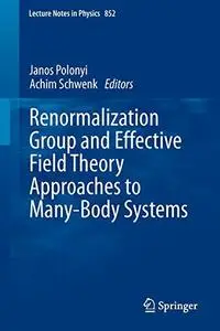 Renormalization Group and Effective Field Theory Approaches to Many-Body Systems