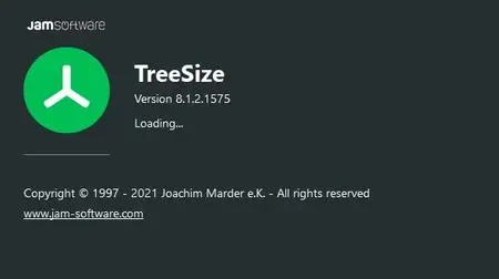 TreeSize Professional 8.1.2.1575 Multilingual
