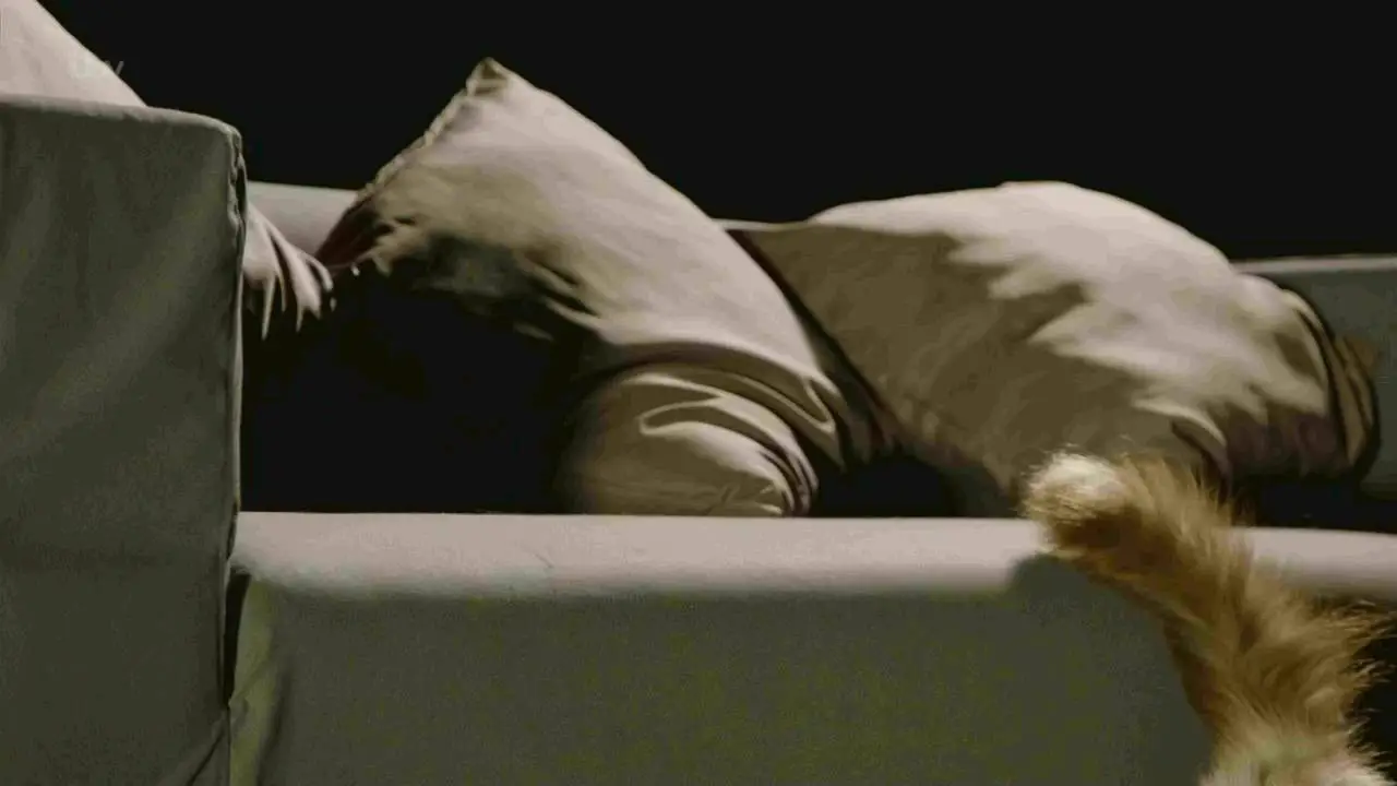 ITV - The Story of Cats: Series 1 (2016)