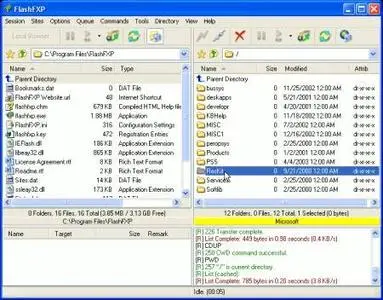 FlashFXP U3 Portable v3.4.0.1145 Multilingual 