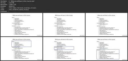 Beginner: Complete Basics Of Sap Po (Process Orchestration)