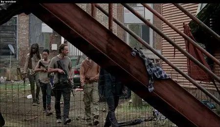 The Walking Dead S05 [Complete Season] (2015) 