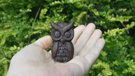 Wood Carving Project For Beginners - Whittle An Owl