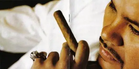 Fat Joe - The Elephant in the Room (2008) {Virgin}