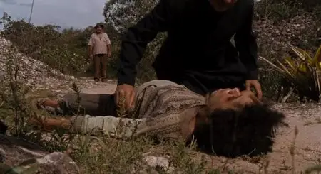 O Homem Que Não Dormia (2012)