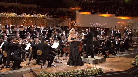 Berlin Philharmonic Gala Concert 2010 (2010)