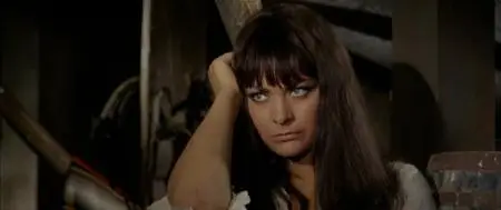 I lunghi giorni della vendetta (Faccia d'angelo) / Long Days of Vengeance (1967)